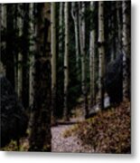 Aspens, On The Devils' Head Trail Metal Print