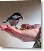 A Bird In The Hand Metal Print