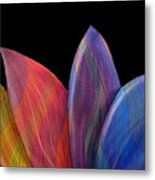 A Daisy's Elegance - Abstract Metal Print