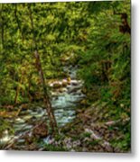 A Forest Stream Metal Print