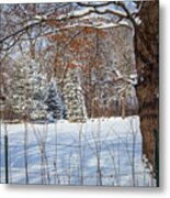 A Fresh New Winter Metal Print