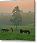 A Kentucky Morning. Metal Print