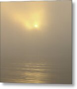 A Lake Golden Sunrise Metal Print