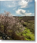 A Panoramic View In Galilee Metal Print