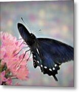 A Soft Caress Metal Print