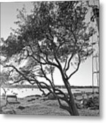 A Sunny Marblehead Day At The Light Tower Chandler Hovey Park Black And White Metal Print
