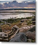 A View From Filberg Park Metal Print