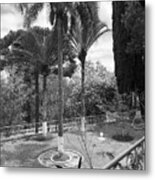 A View Of Backyard From Patio Black And White Kn63 Metal Print