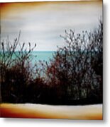 A View Of The Lake Through The Bushes Metal Print