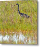 A Youngster Out In The Grasslands Metal Print