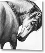 Abanico Ii - Horse Art Metal Print