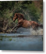 Action Metal Print