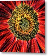 Aesthetic Sun Flower Metal Print