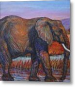 African Elephant Metal Print