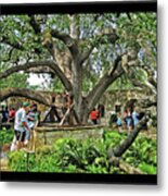 Alamo Heritage Tree Metal Print