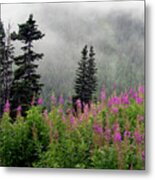 Alaska Pines And Wildflowers Metal Print