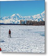 An Encounter With The Alaska Range Metal Print