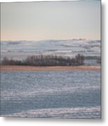 Alberta Winter Wheat Farm Landscape Metal Print