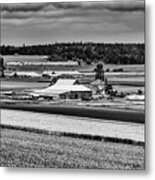 Alfalfa Farm Metal Print