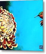 Allen's Hummingbird And Chrysanthemum Metal Print