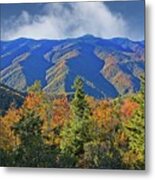Amazing View To The Top Metal Print