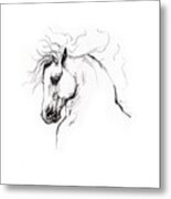 Andalusian Horse Drawing 1 Metal Print