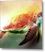 Andaman Sea Turtle Metal Print