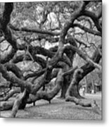 Angel Oak Tree Metal Print