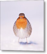 Angry Bird _ Robin In The Snow Metal Print
