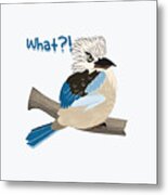Angry Kookaburra Asking What? Funny Design By Lozsart Metal Print