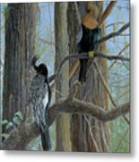 Anhinga Metal Print