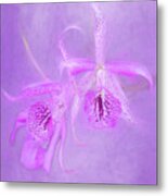 Another Purple Orchid Metal Print