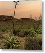 Apache Trail Metal Print