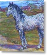 Appaloosa Horse Metal Print