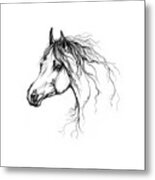 Arabian Horse Drawing 37 Metal Print