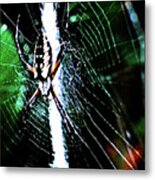 Arachnophobia Metal Print