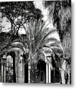 Arches And Palm Trees In Jerusalem Metal Print