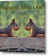 Are You Thinking What I Am Thinking Metal Print