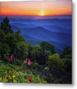 Arnold Valley Sunset With Columbines Metal Print