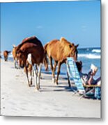 Assateague Island - Ponies On Beach Metal Print