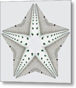 Asteroidia Cupola -  Wisconsin Barn Cupola Starfish Creation Metal Print