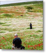 At Lachish's Magical Fields Metal Print