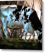 At The End Of The Day - Black And White Cow Metal Print