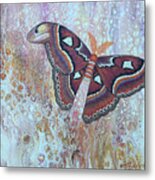 Atlas Silk Moth Metal Print