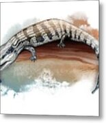Australian Blue Tongue Lizard Metal Print