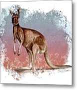 Australian Red Kangaroo Metal Print