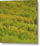 Autumn Along Steens Mountain Metal Print