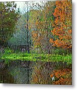 Autumn At Brazos Bend Metal Print