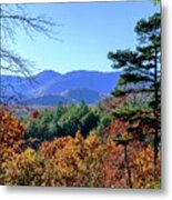 Autumn Farewell Metal Print