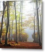 Autumn Foggy Forest Metal Print